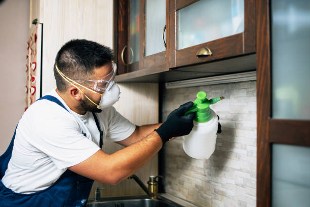 Best Mosquito Control Services  in Lake St Louis, MO