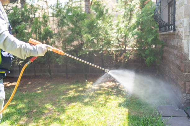 Reliable Lake St Louis, MO Pest Control Solutions